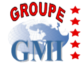 Groupe Gemini Logo